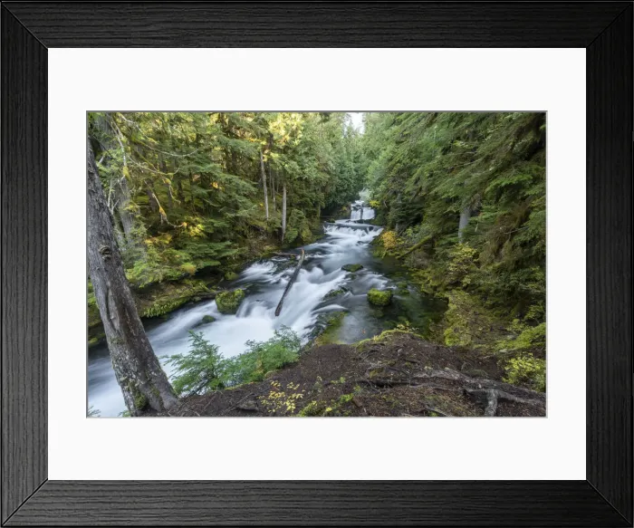 Framed Print : Sahalie Falls in autumn, McKenzie Bridge, Lane county, Oregon, United States of America Framed Print : Sahalie Falls in autumn, McKenzie Bridge, Lane county, Oregon, United States of America