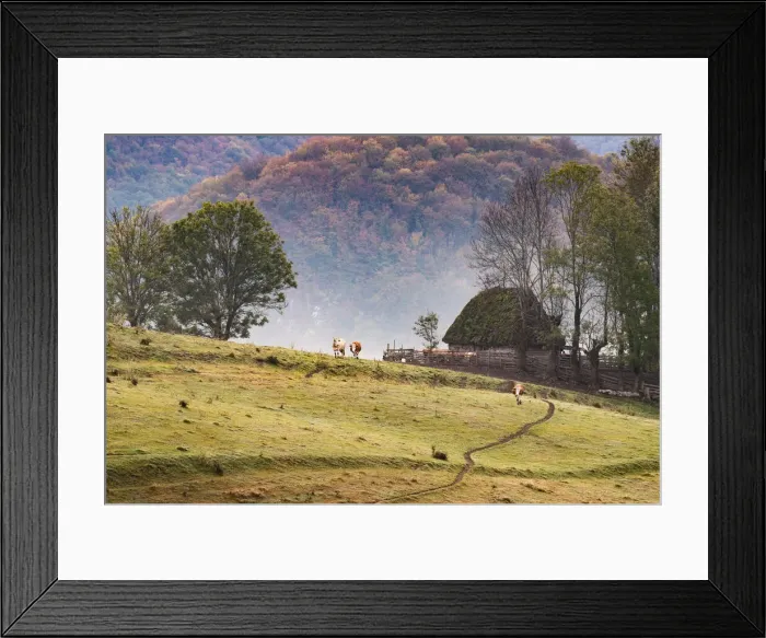 Framed Print : Rural landscape in Apuseni mountains, Romania, Europe Framed Print : Rural landscape in Apuseni mountains, Romania, Europe