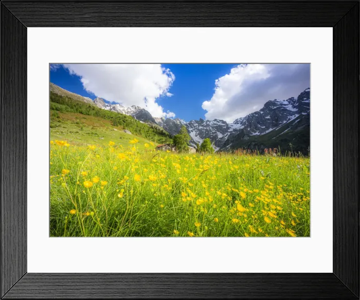 Framed Print : Ancient group of huts between summer flowers, Val d Arigna, Valtellina, Orobie Alps Framed Print : Ancient group of huts between summer flowers, Val d Arigna, Valtellina, Orobie Alps