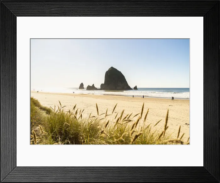 Framed Print : Haystack Rock and The Needles, with Gynerium spikes in the foreground, Cannon Beach Framed Print : Haystack Rock and The Needles, with Gynerium spikes in the foreground, Cannon Beach