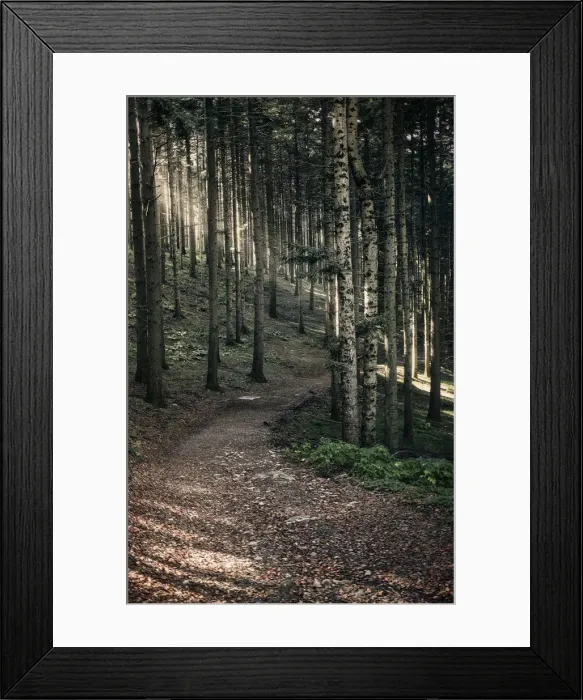 Framed Print : Path in the woods with sun light filtering through the trees, Dardagna Waterfalls