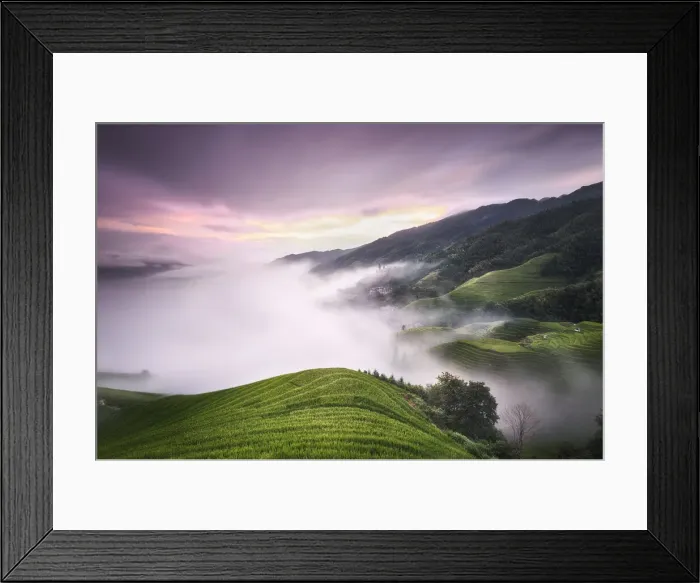 Framed Print : Purple sunset with fog above the Longsheng rice terraces, Guangxi, China, Asia Framed Print : Purple sunset with fog above the Longsheng rice terraces, Guangxi, China, Asia