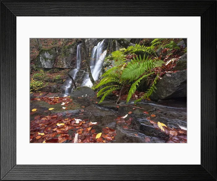 Framed Print : Fern and waterfalls, Dardagna Waterfalls, Parco Regionale del Corno alle Scale Framed Print : Fern and waterfalls, Dardagna Waterfalls, Parco Regionale del Corno alle Scale