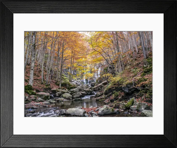 Framed Print : Autumn woods and waterfall in the background, Dardagna Waterfalls Framed Print : Autumn woods and waterfall in the background, Dardagna Waterfalls