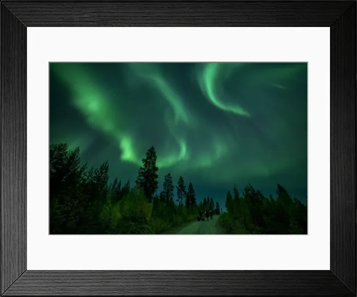 Framed Print : Photographers taking pictures of aurora borealis (Northern Lights) over coniferous forest Framed Print : Photographers taking pictures of aurora borealis (Northern Lights) over coniferous forest