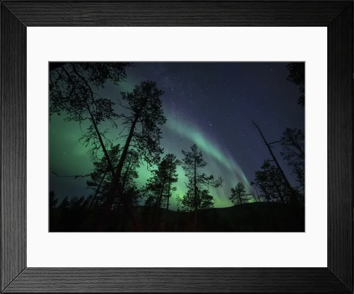 Framed Print : Aurora borealis (Northern Lights) over coniferous forest, Muonio, Lapland, Finland