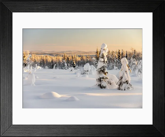 Framed Print : Snow covered winter landscape, Kuusamo, Finland, Europe Framed Print : Snow covered winter landscape, Kuusamo, Finland, Europe