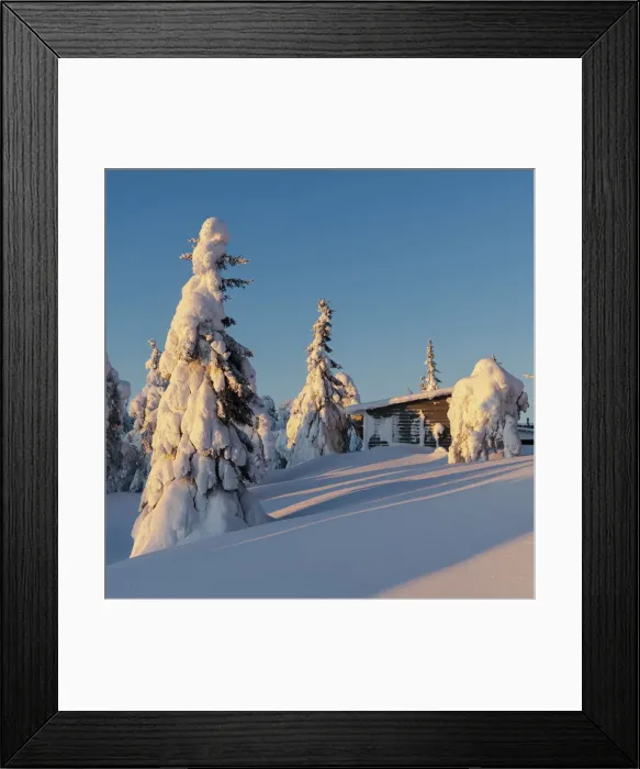 Framed Print : Snow laden trees and cabin, Kuusamo, Finland, Europe Framed Print : Snow laden trees and cabin, Kuusamo, Finland, Europe