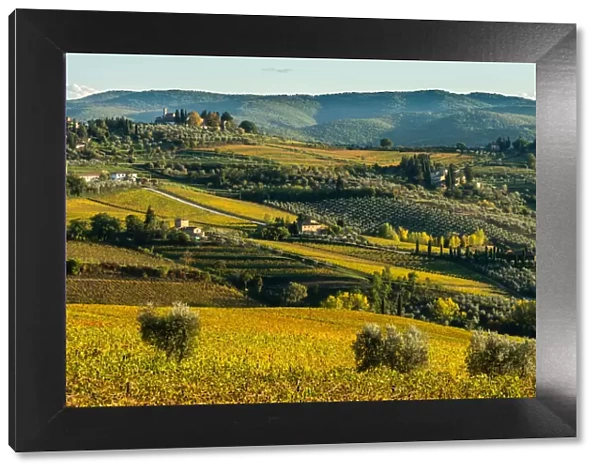 View of valley of Panzano in Chianti, patterned lines of vineyards