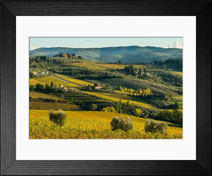 Framed Print : View of valley of Panzano in Chianti, patterned lines of vineyards