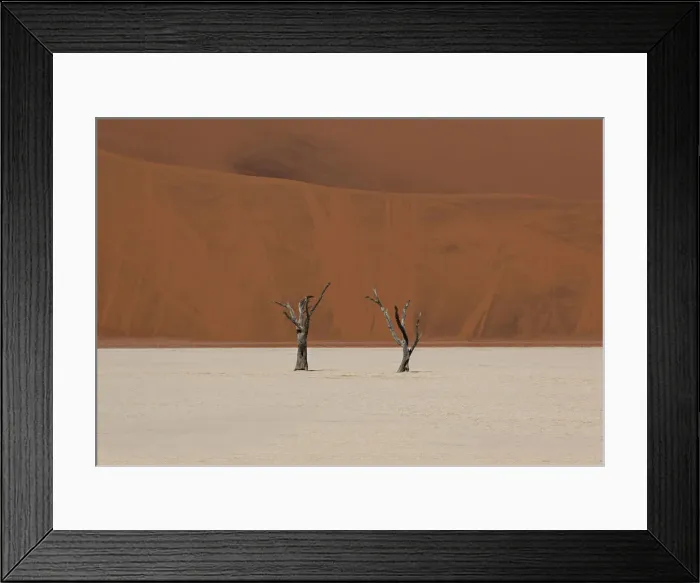 Framed Print : Two dry trees in Sossusvlei desert, high contrast between the red sand in the background Framed Print : Two dry trees in Sossusvlei desert, high contrast between the red sand in the background