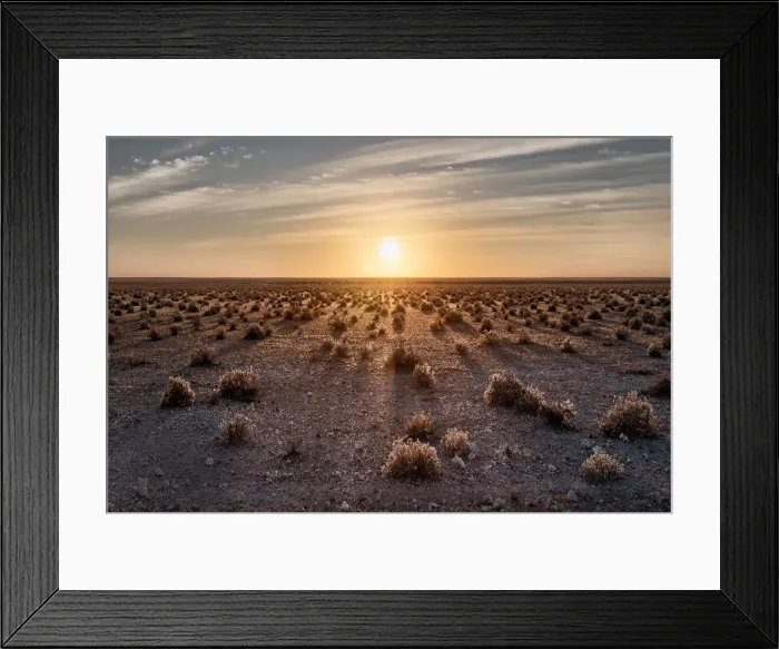 Framed Print : Sunrise in Etosha savannah with small bushes projecting long shadows, Namibia, Africa Framed Print : Sunrise in Etosha savannah with small bushes projecting long shadows, Namibia, Africa