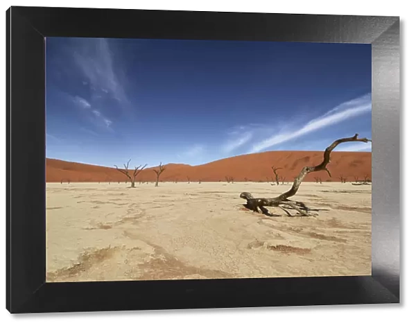 Deadvlei, near Sossusvlei, a dry lake with dead trees in the desert made of red sand