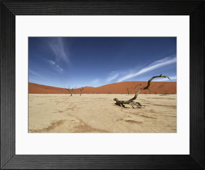 Framed Print : Deadvlei, near Sossusvlei, a dry lake with dead trees in the desert made of red sand Framed Print : Deadvlei, near Sossusvlei, a dry lake with dead trees in the desert made of red sand