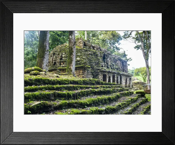 Framed Print : Archaeological Maya site of Yaxchilan in the jungle of Chiapas, Mexico, North America Framed Print : Archaeological Maya site of Yaxchilan in the jungle of Chiapas, Mexico, North America