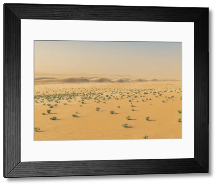 Framed Print : Green bushes in the Tenere desert, Niger, West Africa, Africa Framed Print : Green bushes in the Tenere desert, Niger, West Africa, Africa