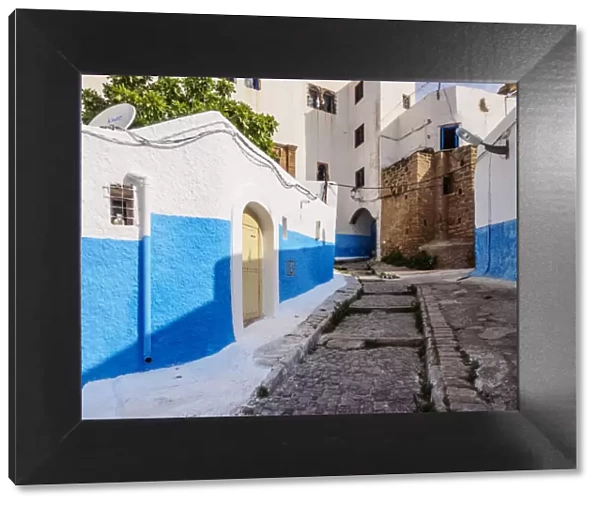 Rue Bazou, blue street in Kasbah of the Udayas, Rabat, Rabat-Sale-Kenitra Region, Morocco