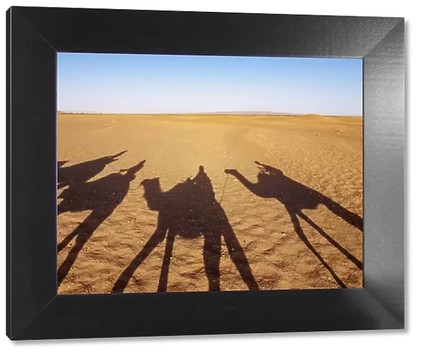 Shadows of people riding camels in a caravan in Zagora Desert, Draa-Tafilalet Region