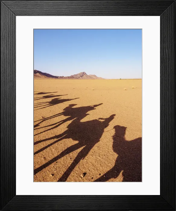 Framed Print : Shadows of people riding camels in a caravan at Zagora Desert, Draa-Tafilalet Region Framed Print : Shadows of people riding camels in a caravan at Zagora Desert, Draa-Tafilalet Region