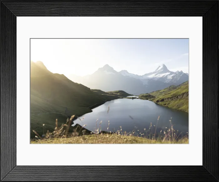 Framed Print : Green meadows surrounding Bachalpsee lake lit by sunrise, Grindelwald, Bernese Oberland Framed Print : Green meadows surrounding Bachalpsee lake lit by sunrise, Grindelwald, Bernese Oberland