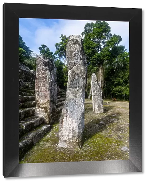 Calakmul, UNESCO World Heritage Site, Campeche, Mexico, North America