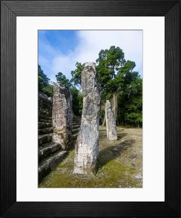 Framed Print : Calakmul, UNESCO World Heritage Site, Campeche, Mexico, North America Framed Print : Calakmul, UNESCO World Heritage Site, Campeche, Mexico, North America
