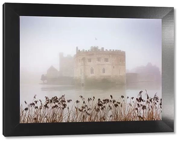 Foggy day in the park surrounding Leeds Castle, Kent, England, United Kingdom, Europe
