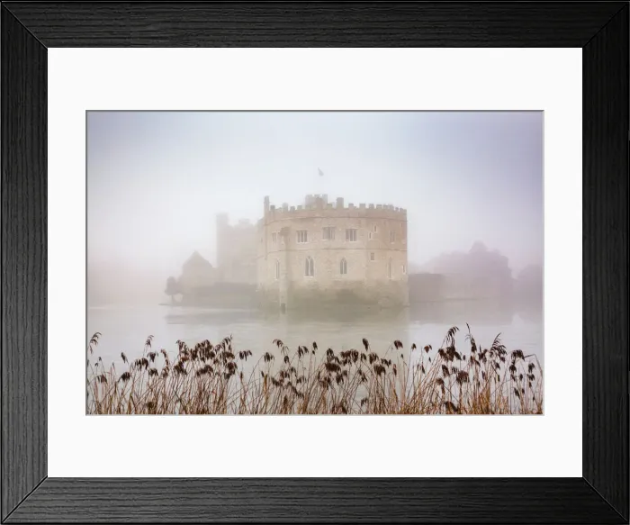 Framed Print : Foggy day in the park surrounding Leeds Castle, Kent, England, United Kingdom, Europe Framed Print : Foggy day in the park surrounding Leeds Castle, Kent, England, United Kingdom, Europe