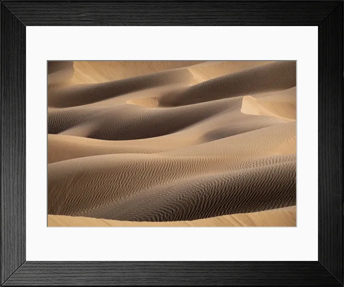 Framed Print : Sand dunes detail in the Rub al Khali desert, Oman, Middle East Framed Print : Sand dunes detail in the Rub al Khali desert, Oman, Middle East