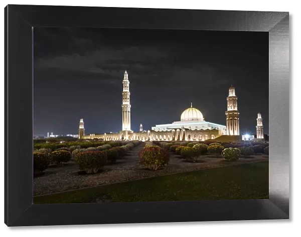 Night view of Sultan Qaboos Mosque illuminated and the oleander field in the foreground