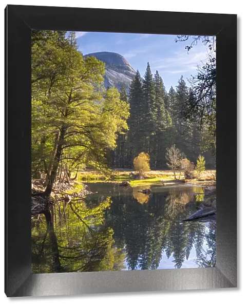 Autumn reflections on the River Merced in Yosemite Valley, Yosemite National Park
