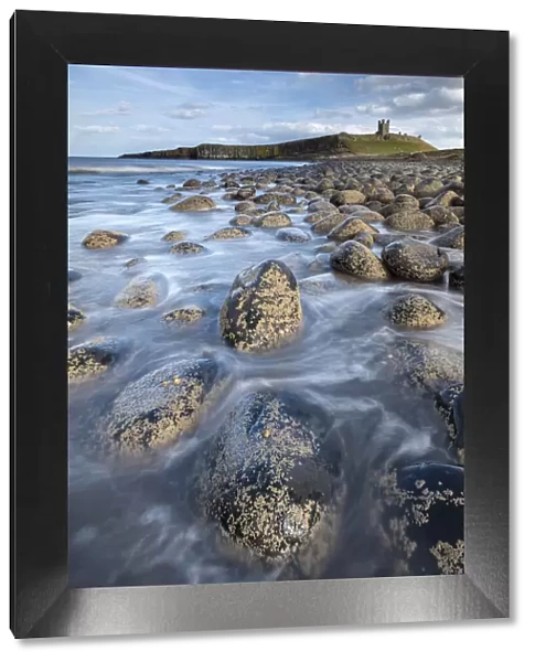Dunstanburgh Castle from the rocky shores of Embleton Bay, Northumberland, England