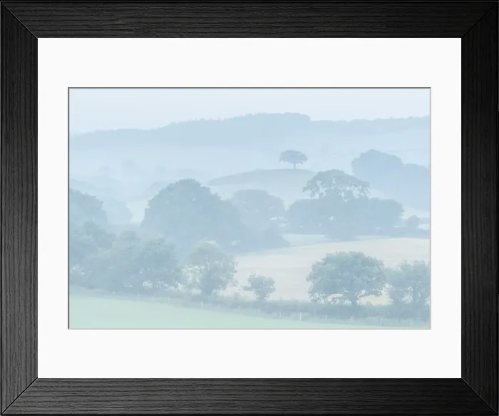 Framed Print : Rolling Devon countryside at dawn on a misty summer morning, Devon, England Framed Print : Rolling Devon countryside at dawn on a misty summer morning, Devon, England