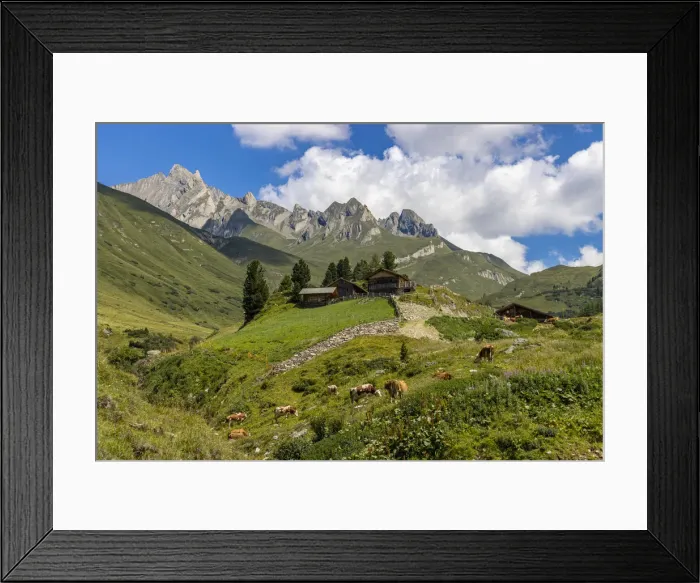 Framed Print : Cows and mountain hut in summer, Aurina Valley, Dolomites, South Tyrol, Italy, Europe Framed Print : Cows and mountain hut in summer, Aurina Valley, Dolomites, South Tyrol, Italy, Europe