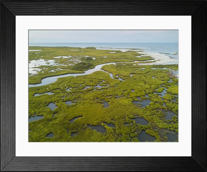 Framed Print : Chesapeake Bay saltmarsh and winding creeks of the Plumtree National Wildlife Refuge Framed Print : Chesapeake Bay saltmarsh and winding creeks of the Plumtree National Wildlife Refuge