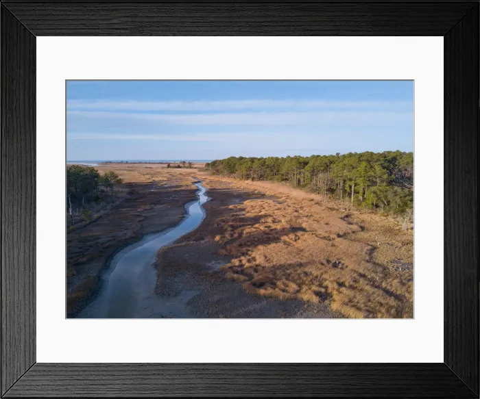 Framed Print : Chesapeake Bay salt marsh and loblolly pine trees, Hampton, Virginia Framed Print : Chesapeake Bay salt marsh and loblolly pine trees, Hampton, Virginia