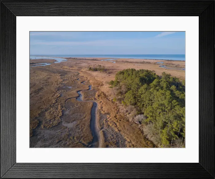 Framed Print : A creek at low tide winding through tidal salt marsh with Chesapeake Bay in Framed Print : A creek at low tide winding through tidal salt marsh with Chesapeake Bay in