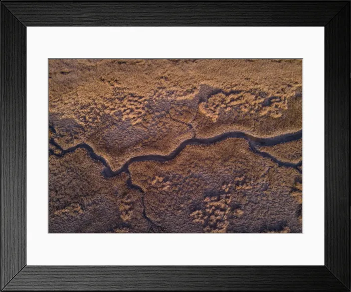 Framed Print : Chesapeake Bay salt marsh, Hampton, Virginia, United States of America, North America Framed Print : Chesapeake Bay salt marsh, Hampton, Virginia, United States of America, North America