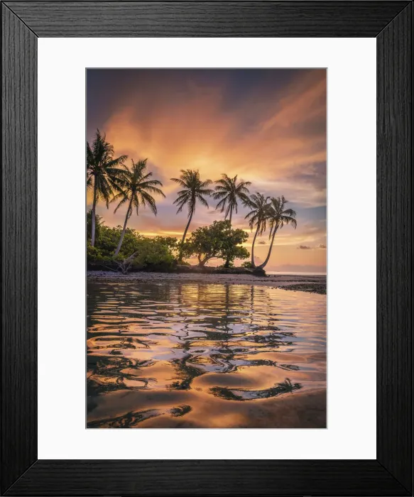 Framed Print : Sunset behind a row of coconut palms as the colorful sunset reflects in the waters of Framed Print : Sunset behind a row of coconut palms as the colorful sunset reflects in the waters of