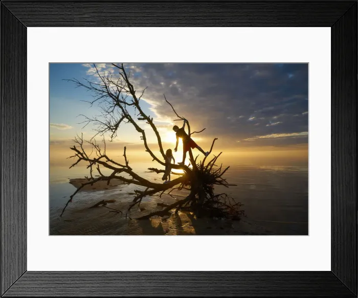 Framed Print : Brother and sister on the branches of a dead tree at Jockeys Ridge State Park, Nags Head Framed Print : Brother and sister on the branches of a dead tree at Jockeys Ridge State Park, Nags Head