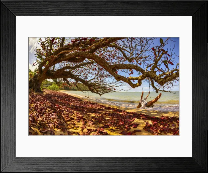 Framed Print : A young woman enjoys a quiet fall day by the seaside on a swing, Kiluea, Hawaii Framed Print : A young woman enjoys a quiet fall day by the seaside on a swing, Kiluea, Hawaii