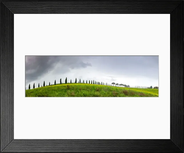 Framed Print : Green landscape with cypress trees and rolling hills, Tuscany, Italy, Europe Framed Print : Green landscape with cypress trees and rolling hills, Tuscany, Italy, Europe