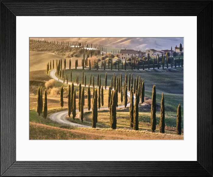 Framed Print : Tree-lined avenue with cypresses at sunset in Tuscany, Italy, Europe Framed Print : Tree-lined avenue with cypresses at sunset in Tuscany, Italy, Europe