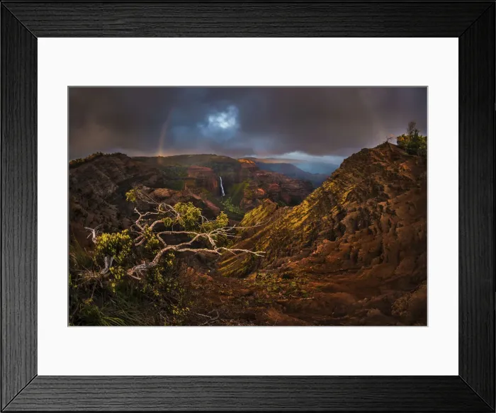 Framed Print : An Acacia Koa tree reaches out over the Waimea Canyon as a faint sunset rainbow stretches Framed Print : An Acacia Koa tree reaches out over the Waimea Canyon as a faint sunset rainbow stretches