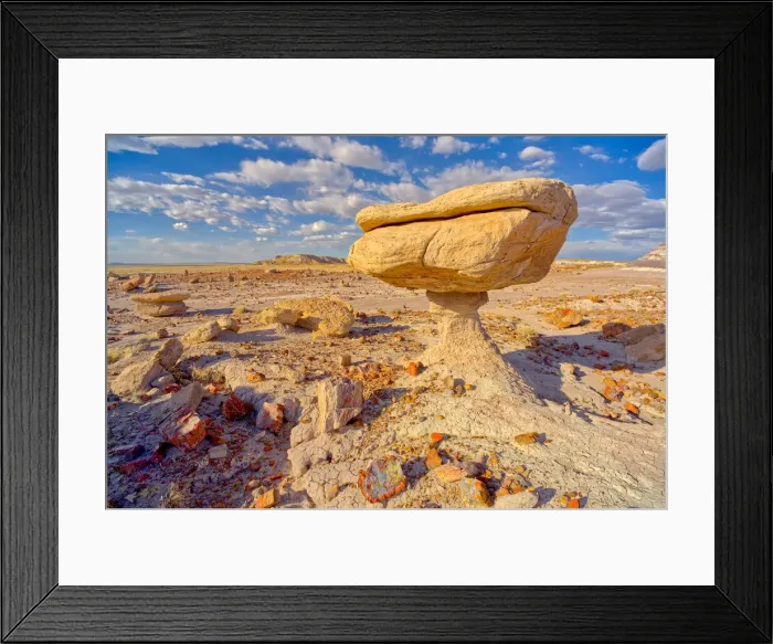 Framed Print : Balanced rock that resembles a toadstool, petrified wood scattered around the formation Framed Print : Balanced rock that resembles a toadstool, petrified wood scattered around the formation