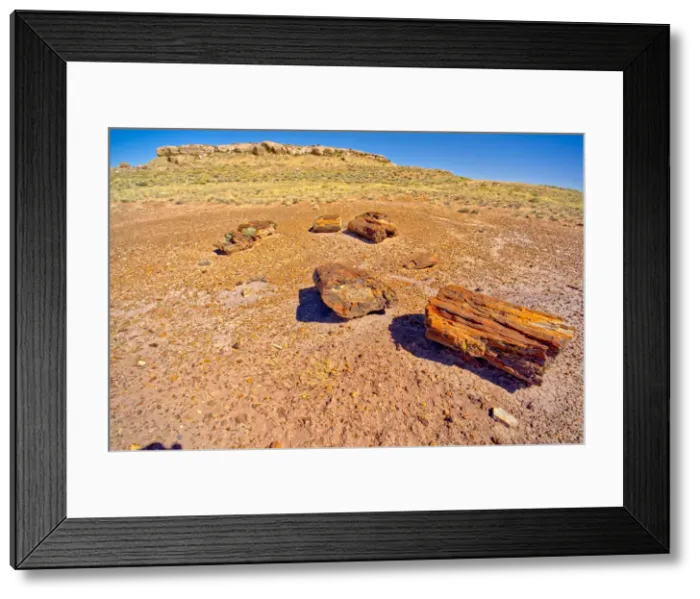 Framed Print : Formation called Agate Mesa, viewed from a group of petrified wood in the foreground Framed Print : Formation called Agate Mesa, viewed from a group of petrified wood in the foreground