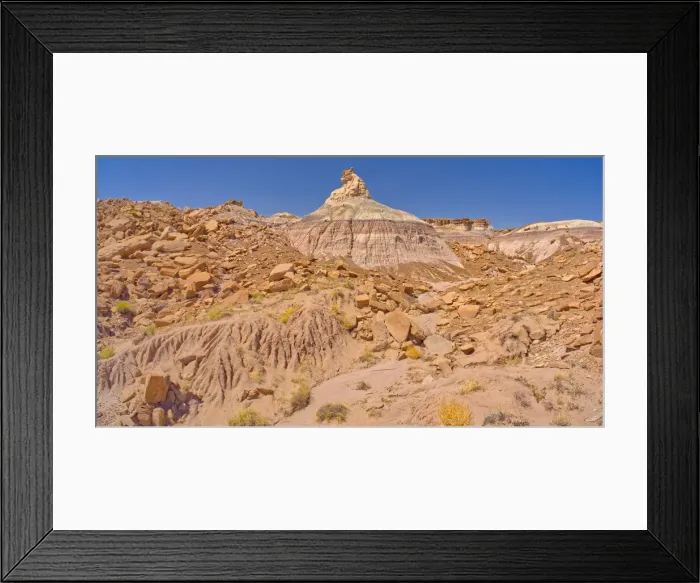 Framed Print : A rock hoodoo shaped like a horse head, along the base of Blue Mesa in Petrified Forest Framed Print : A rock hoodoo shaped like a horse head, along the base of Blue Mesa in Petrified Forest