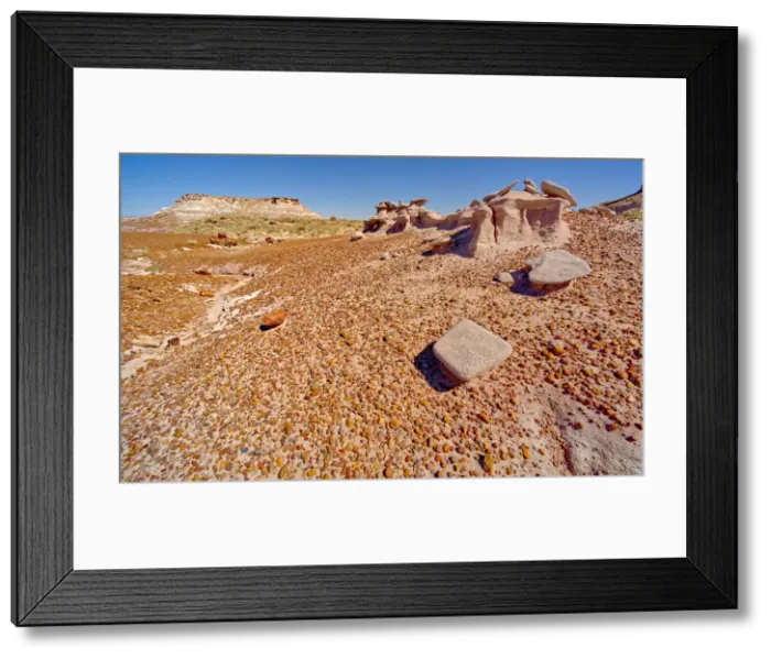 Framed Print : An eroded sandstone formation called a Sandcastle, below the Blue Mesa in Petrified Framed Print : An eroded sandstone formation called a Sandcastle, below the Blue Mesa in Petrified