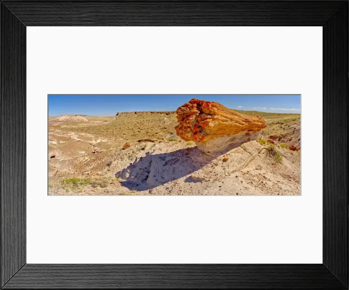 Framed Print : A giant petrified log on a sandstone pedestal on the edge of the Blue Mesa in Petrified Framed Print : A giant petrified log on a sandstone pedestal on the edge of the Blue Mesa in Petrified
