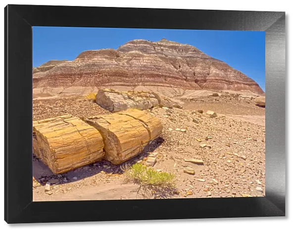 Large pieces of petrified wood on the west side of Red Basin in Petrified Forest National